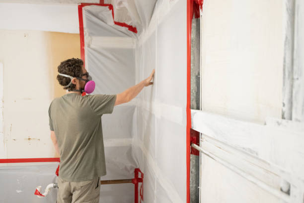 Best Environmental Consulting for Mold Prevention  in Boling, TX