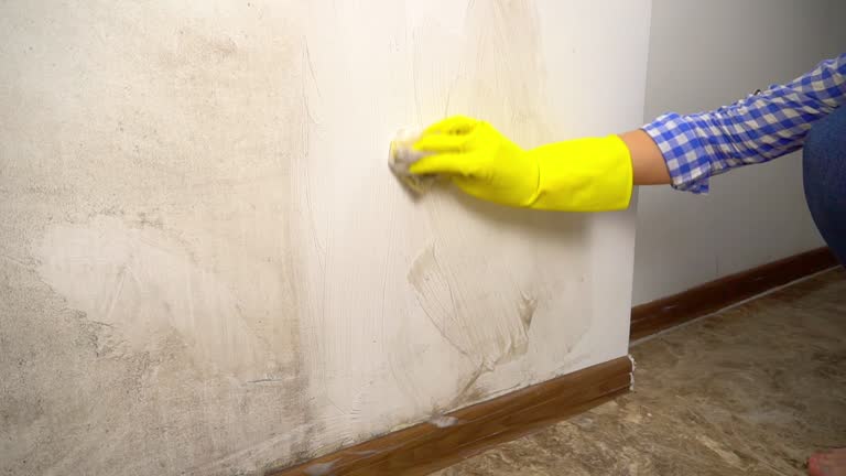 Best Real Estate Mold Inspection  in Boling, TX