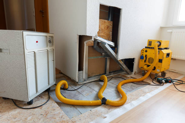 Best Crawl Space Mold Remediation  in Boling, TX